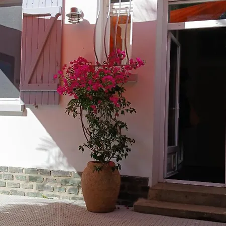 Homestay Le Bleu